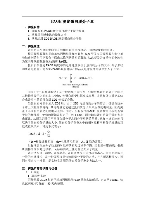 PAGE测定蛋白质分子量