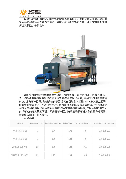 燃气锅炉的常见炉型及参数