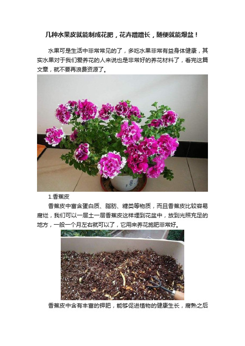 几种水果皮就能制成花肥，花卉蹭蹭长，随便就能爆盆！