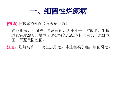 水产细菌性疾病-徐大勇