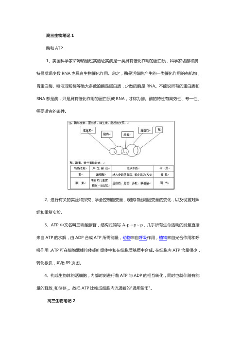 高三生物笔记知识点