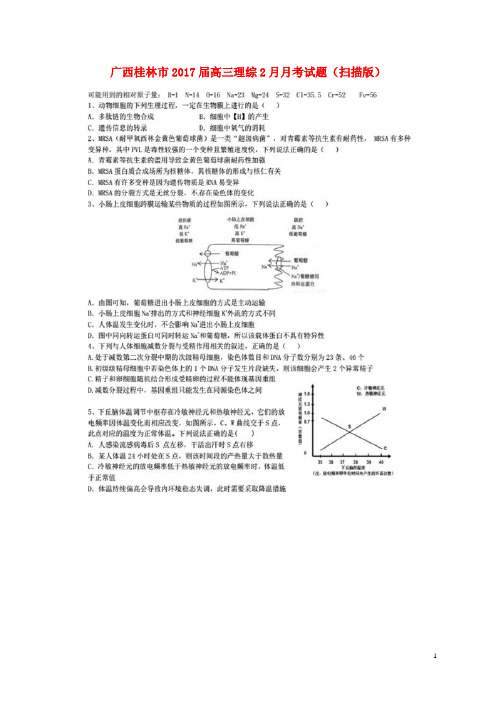 广西桂林市高三理综2月月考试题(扫描版)