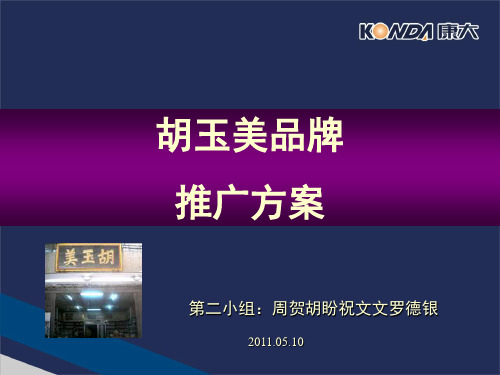 胡玉美振兴推广方案(2011.05.10)