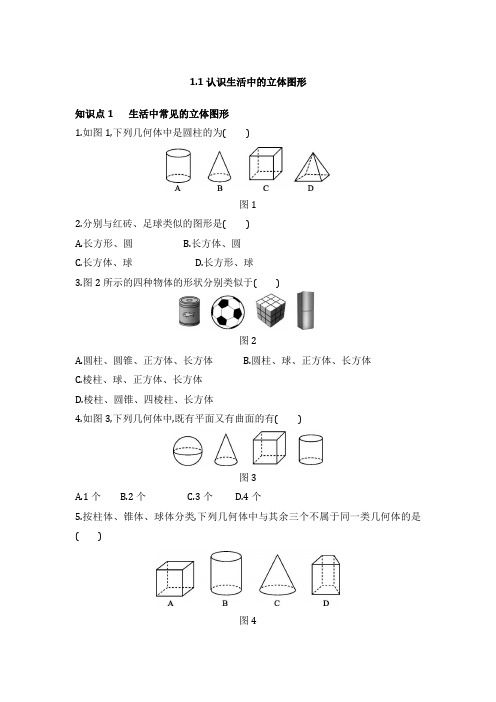 2022学年北师大版数学七年级上册第一章1