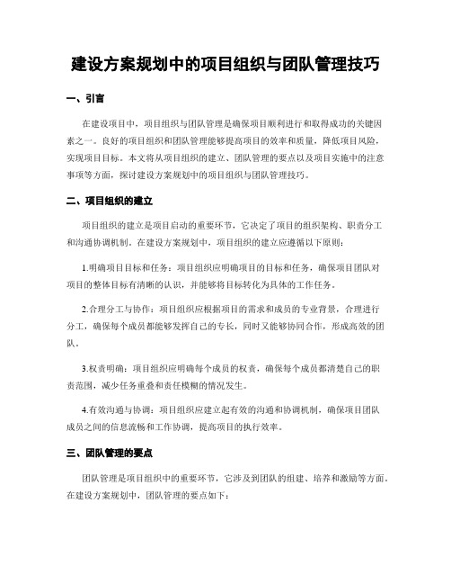 建设方案规划中的项目组织与团队管理技巧