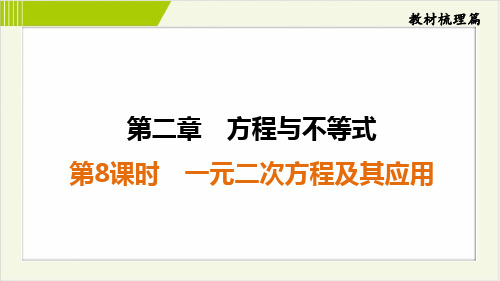 2025年中考数学总复习第一部分考点培优训练第8课时一元二次方程及其应用