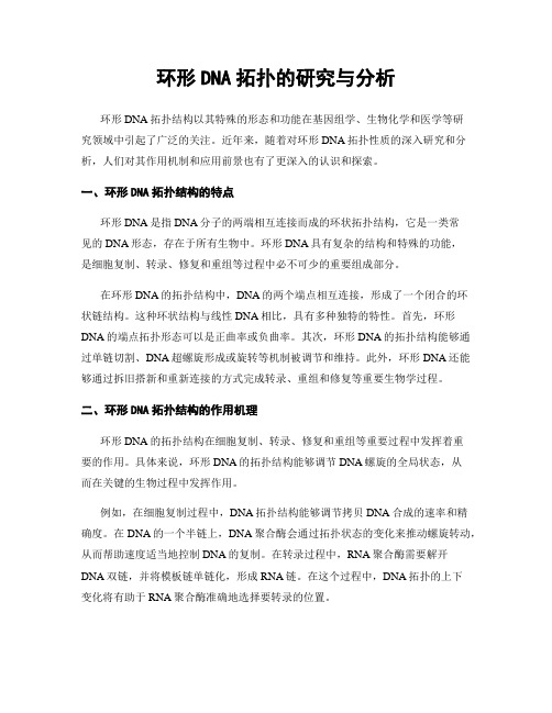 环形DNA拓扑的研究与分析