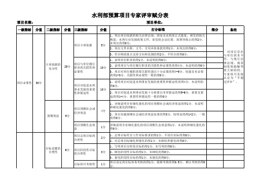 水利部预算项目专家评审赋分表1(1)