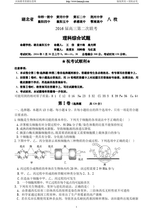 湖北省华师一附中、荆州中学、黄冈中学等八校2016届高三3月联考理综试题