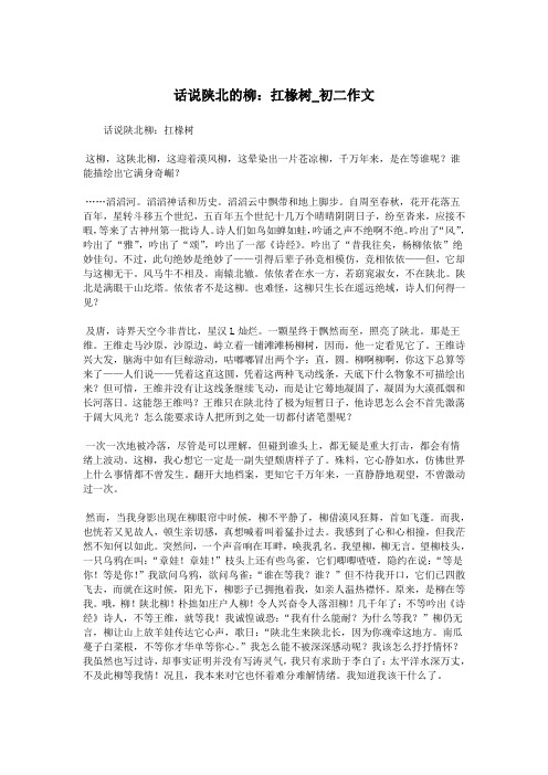 话说陕北的柳:扛椽树_初二作文.doc