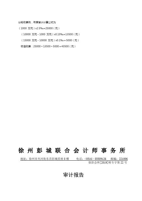 企业行业年检财务审计报告