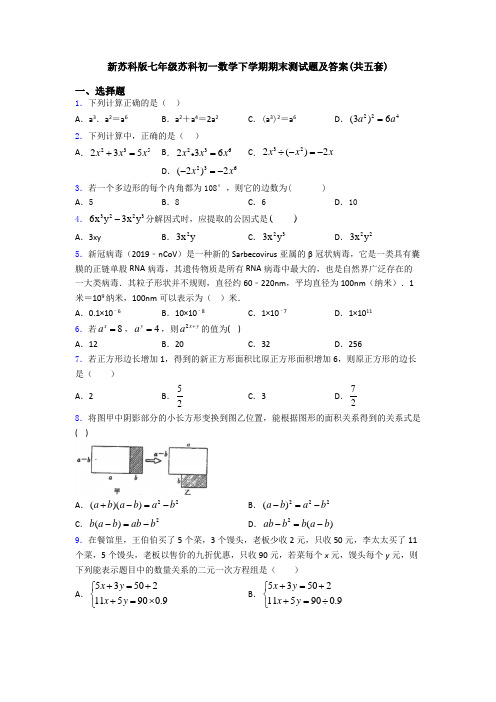 新苏科版七年级苏科初一数学下学期期末测试题及答案(共五套)