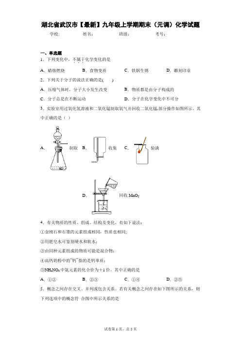 湖北省武汉市2020-2021学年九年级上学期期末(元调)化学试题 答案和解析