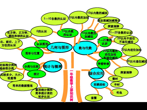 北京版小学一年级数学(上册)知识树