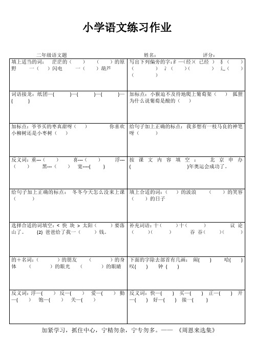 二年级语文随堂精选习题II (51)