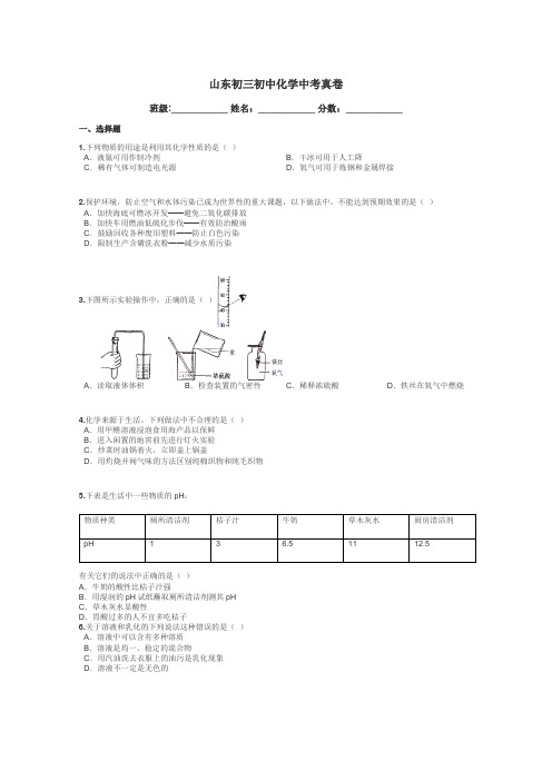 山东初三初中化学中考真卷带答案解析
