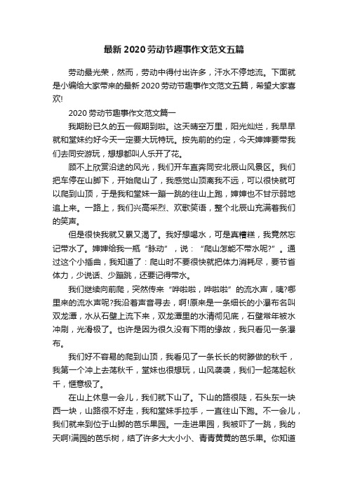 最新2020劳动节趣事作文范文五篇