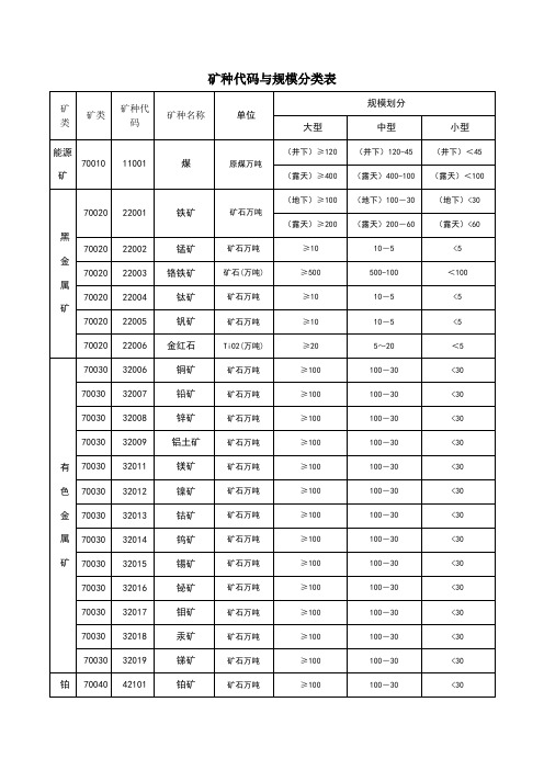 矿种代码与规模分类表