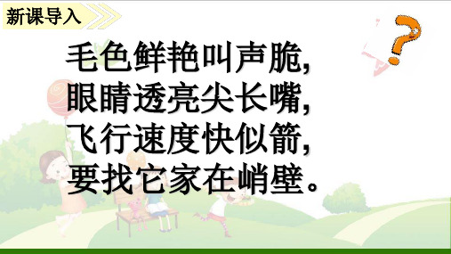 《搭船的鸟》_公开课课件