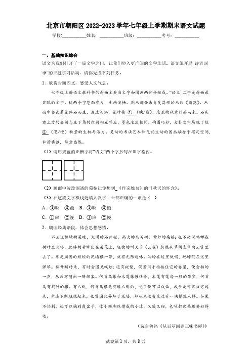 北京市朝阳区2022-2023学年七年级上学期期末语文试题