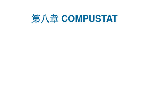 第八章 COMPUSTAT知识讲解