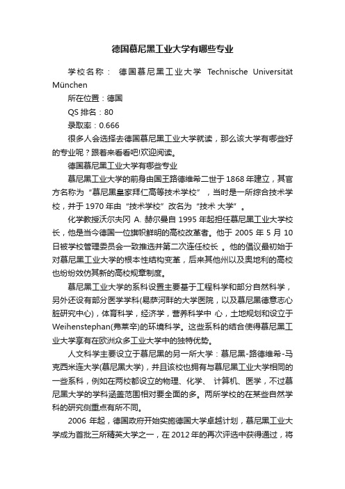 德国慕尼黑工业大学有哪些专业