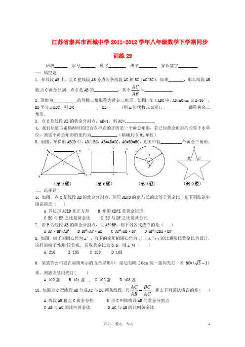 江苏省泰兴市西城中学八年级数学下学期同步训练29(无答案)