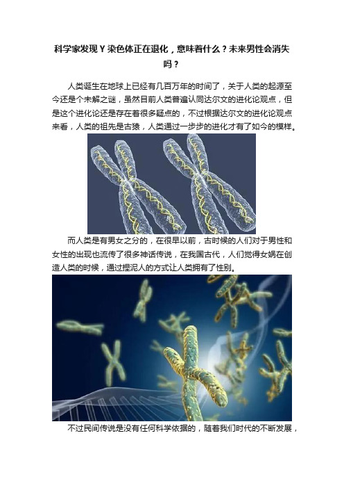 科学家发现Y染色体正在退化，意味着什么？未来男性会消失吗？