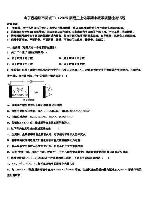 山东省德州市武城二中2025届高三上化学期中教学质量检测试题含解析