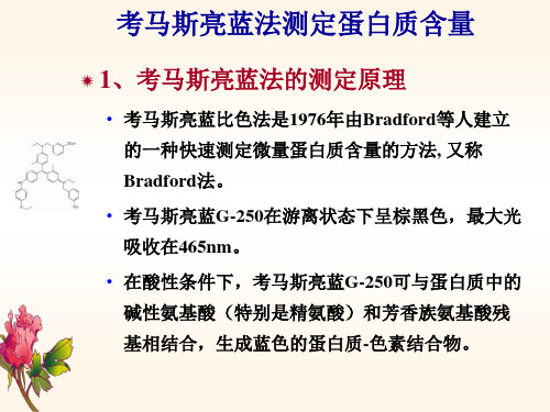 浙江大学生物化学实验甲 考马斯亮蓝法测定蛋白质含量