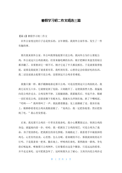 暑假学习初二作文精选三篇