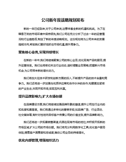 公司新年度战略规划发布