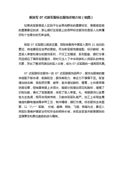 解放军07式新军服标志服饰详细介绍（组图）