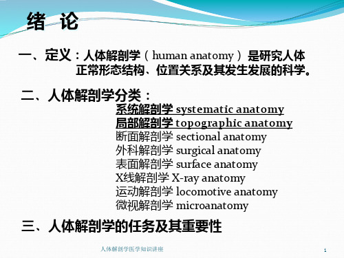 人体解剖学医学知识讲座培训课件