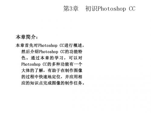 Photoshop CC图形图像处理标准教程 (3)