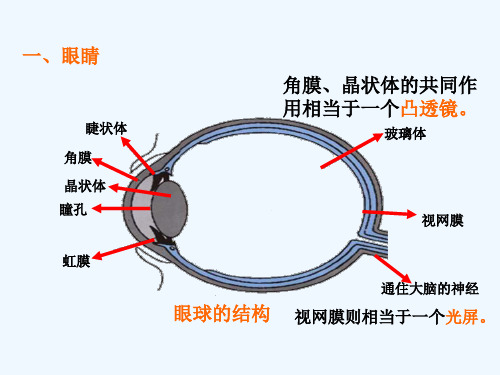 初中物理神奇的眼睛