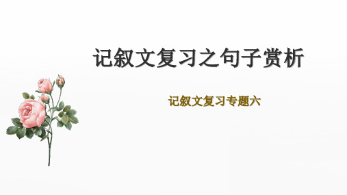 2023年中考语文一轮复习《记叙文复习之句子赏析》课件(共53张PPT)