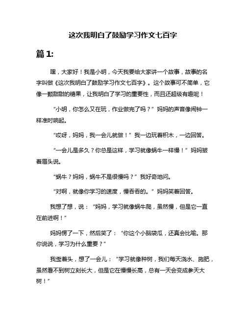 这次我明白了鼓励学习作文七百字