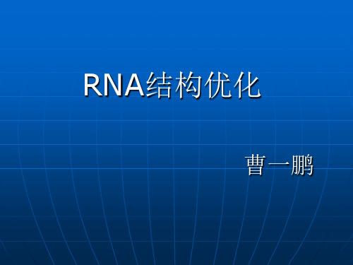 RNA结构优化