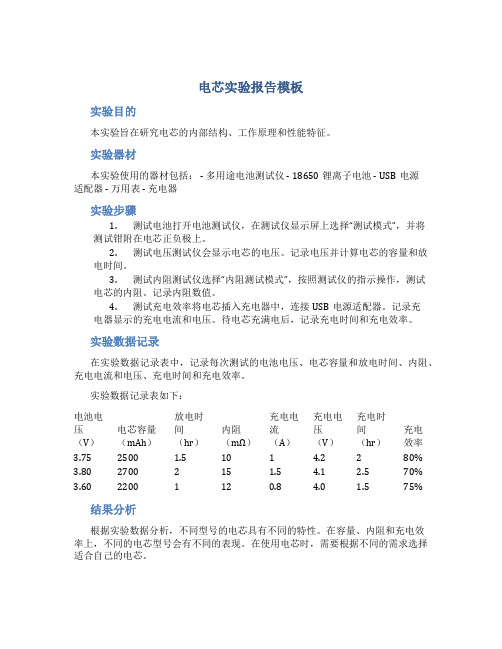 电芯实验报告模板