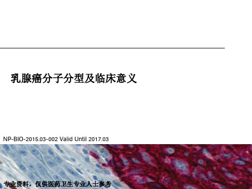 (仅供参考)乳腺癌分子分型及临床意义