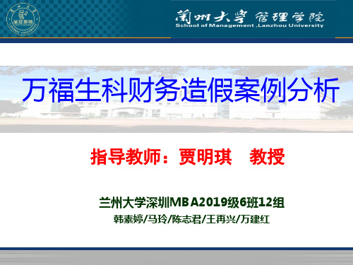 2019年最新-万福生科财务造假案例分析(兰州大学)...-精选文档