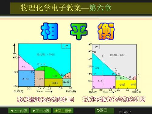 第6章 相平衡