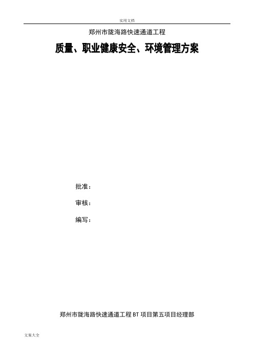 高质量、职业健康安全系统、环境管理系统方案设计