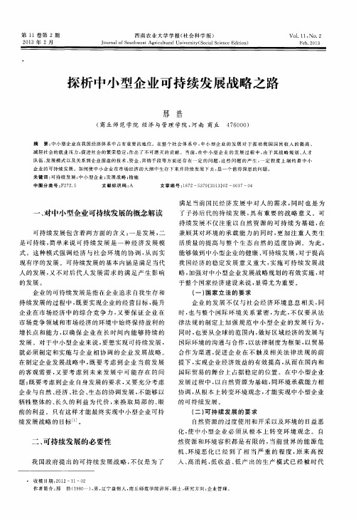 探析中小型企业可持续发展战略之路