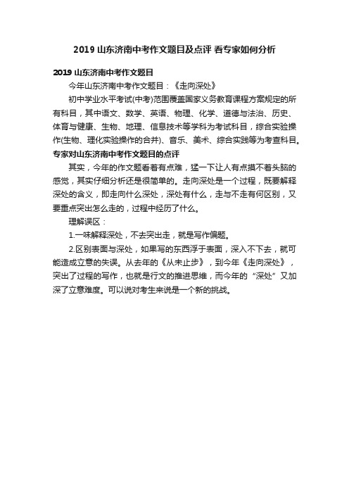 2019山东济南中考作文题目及点评看专家如何分析