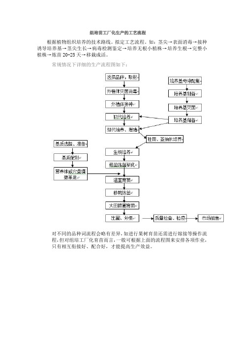 组培苗工厂化生产的工艺流程