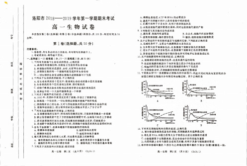 河南省洛阳市2018-2019学年高一上学期期末考试生物试卷(PDF版)