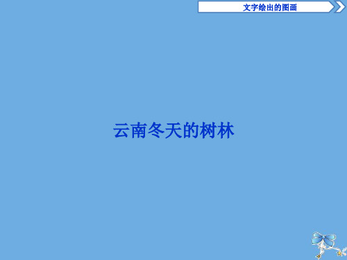 2019_2020学年高中语文第四单元文字绘出的图画3云南冬天的树林课件苏教版选修《现代散文选读》