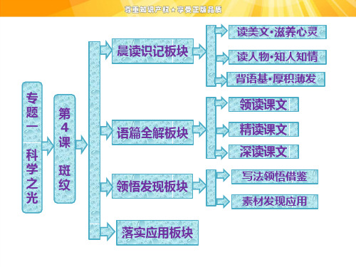 第一专题  第4课  斑纹 优秀课件